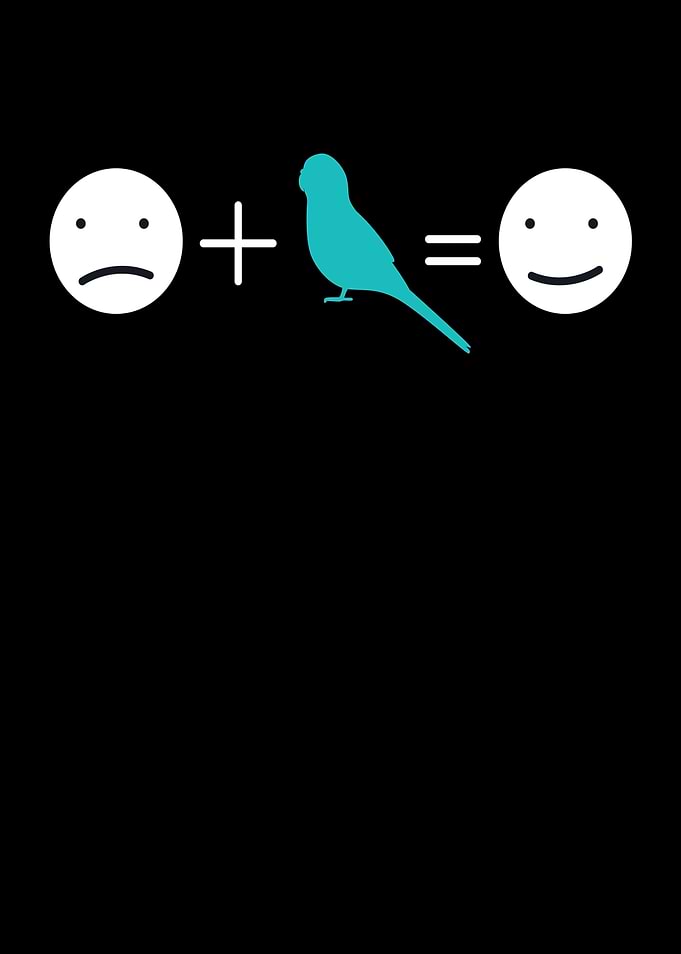 Budgie Bird lover Pet