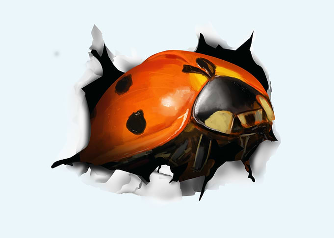 Ladybug breaking through