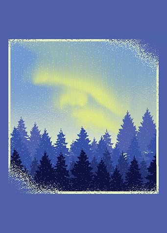 Forest Northern Lights