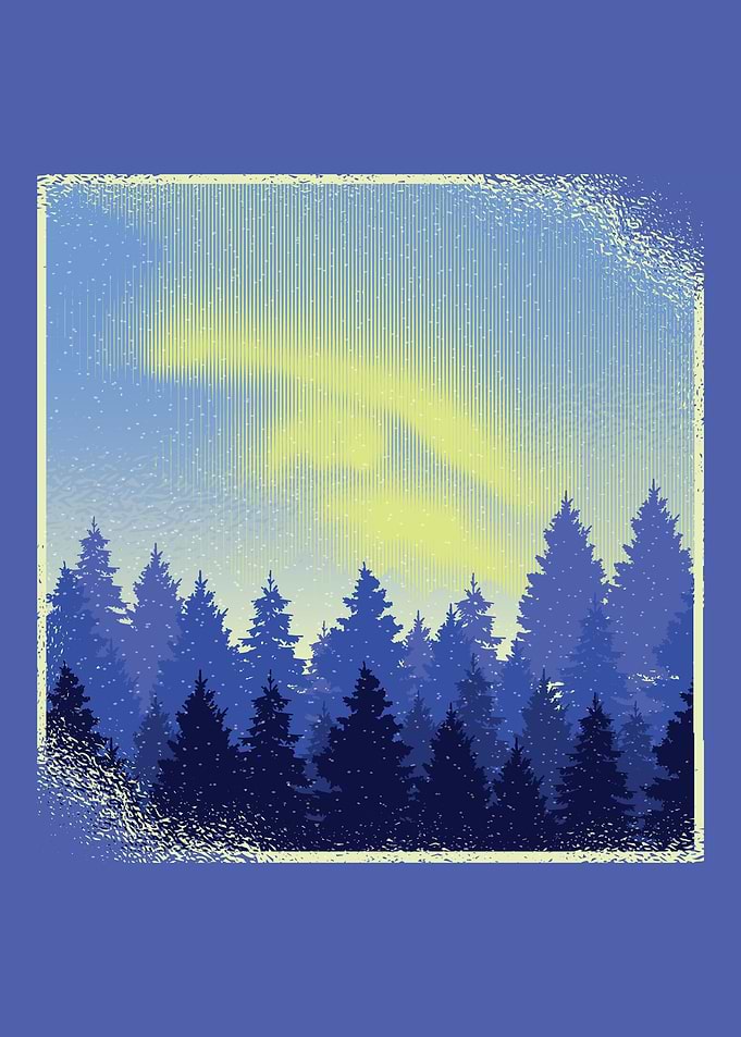 Forest Northern Lights