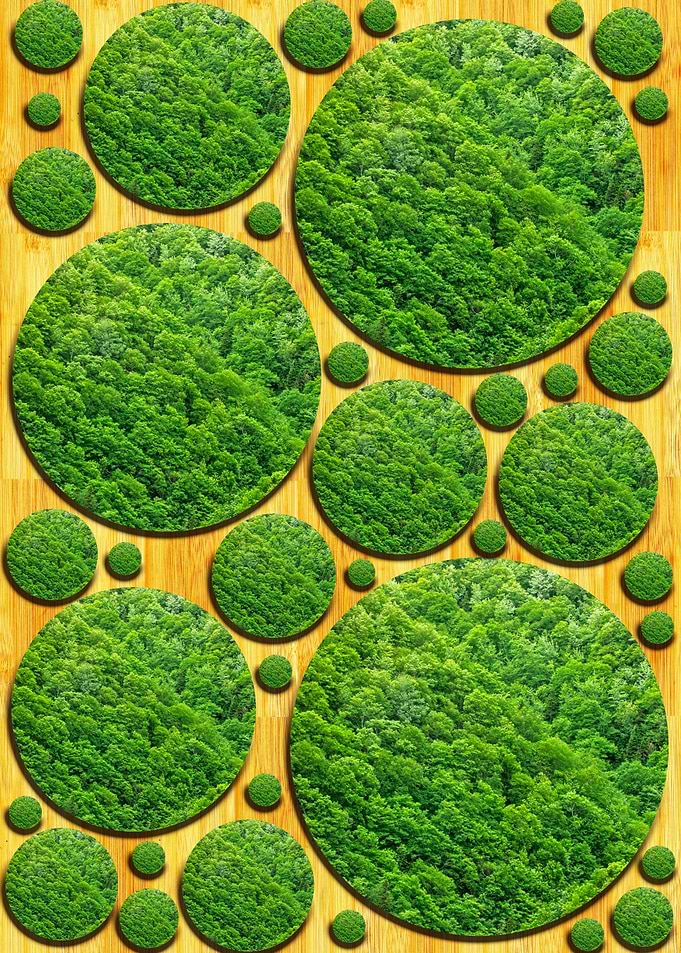 Forest bubbles on bamboo