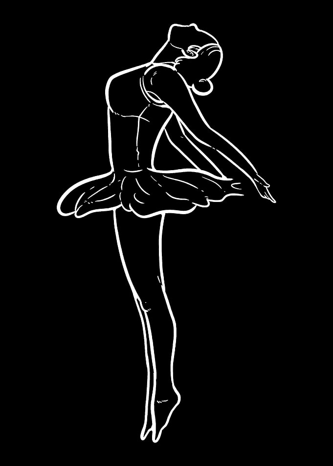 Dance Swan Ballerina Dance