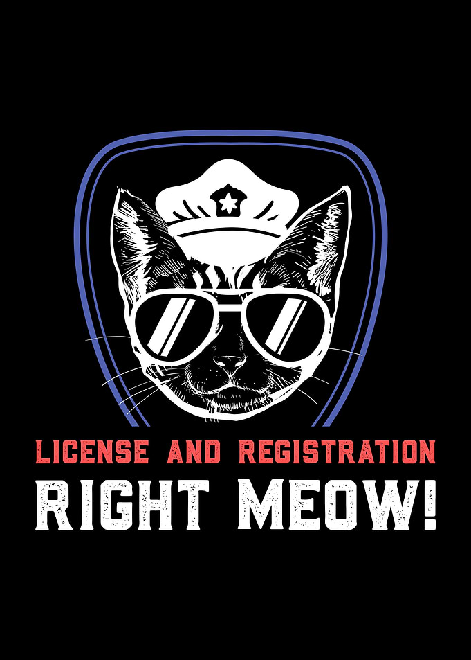 Right Meow Cat Cop