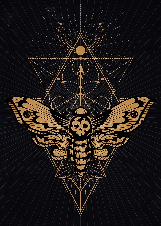 Shaman Moth