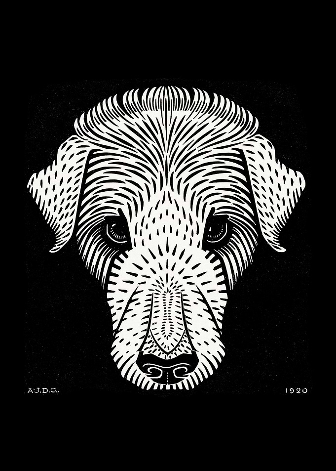 Dog head