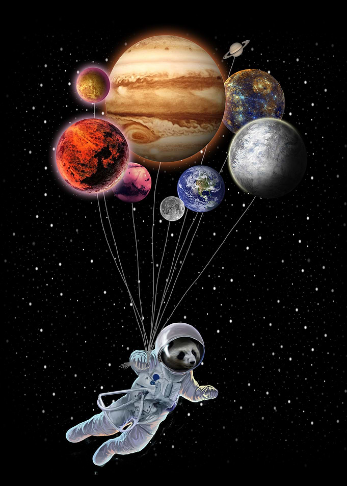 Panda and Planet Balloon