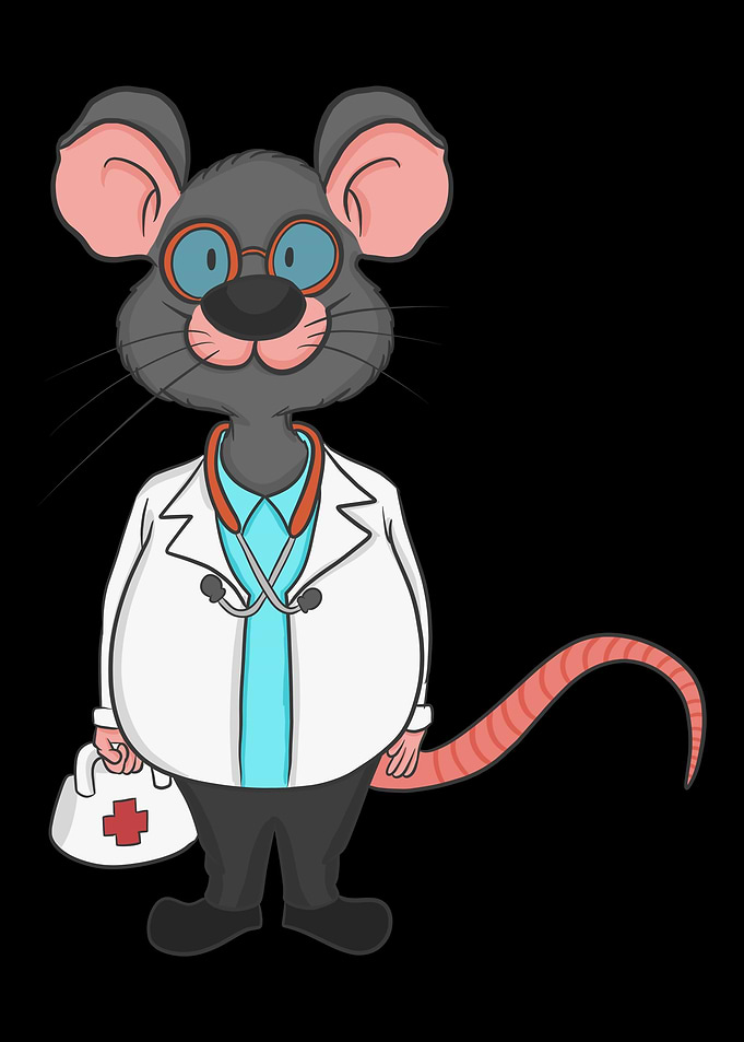 doctor mouse rat doctor co