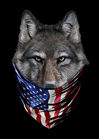 Wolf in Flag USA Bandana