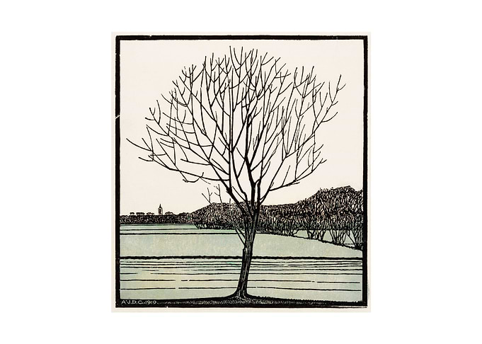 Bald tree