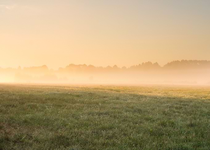Sunset Meadow Farm Outdoor