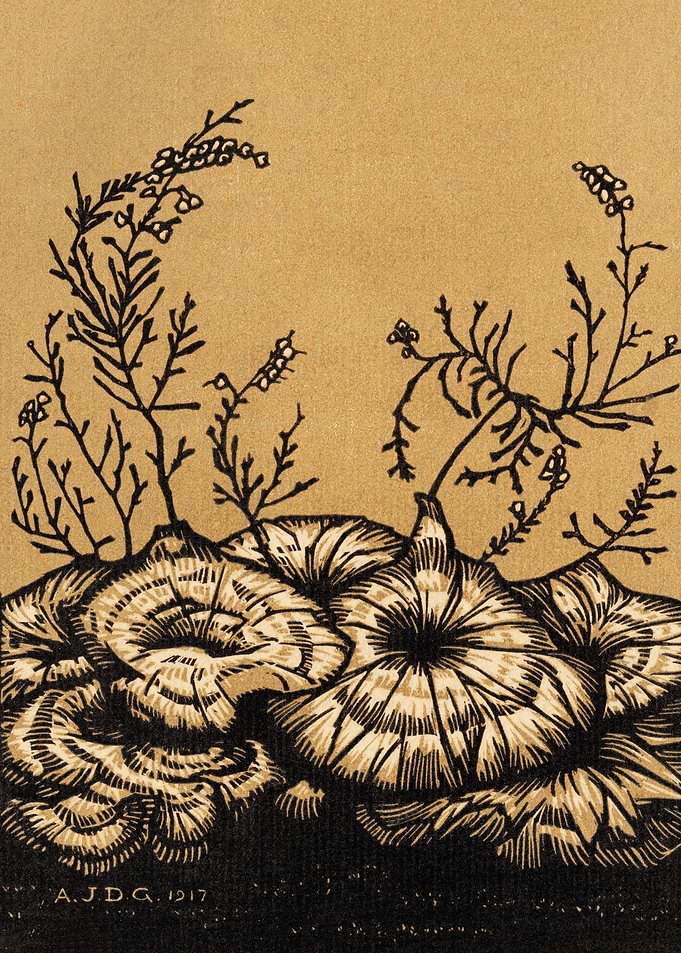 Blossoming plants