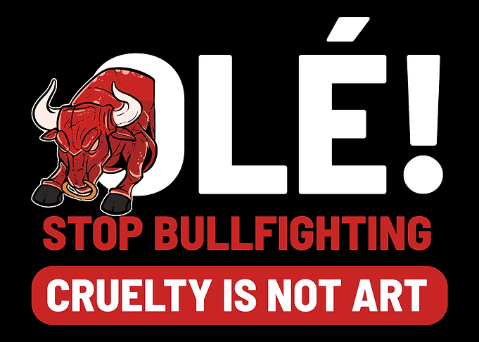 Bullfighting Animal Rights