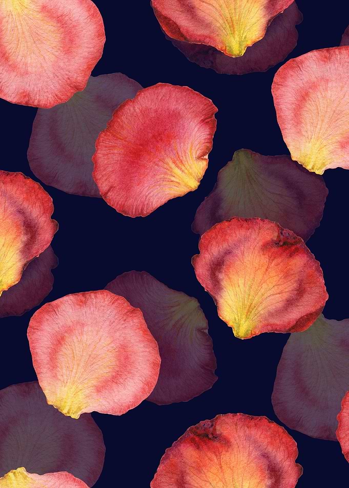 RosePetal Pattern Black 06