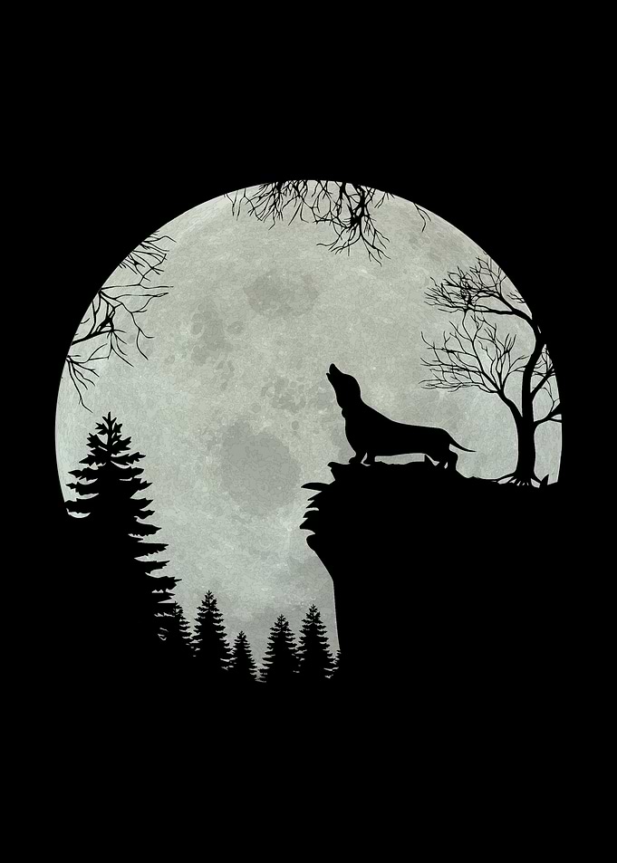 Dachshund at full moon