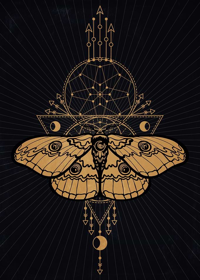 Shaman Night Butterfly