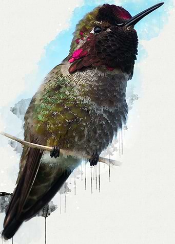 Bird watercolour paint