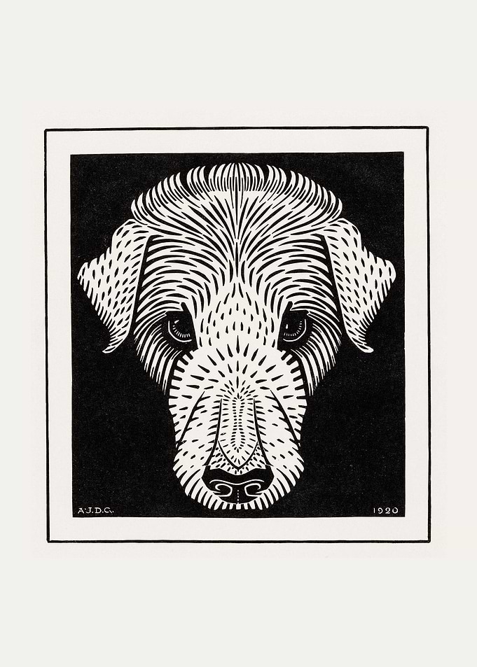 Dogs head