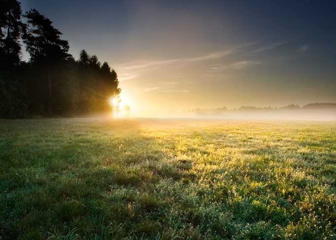 Sunset Meadow Farm Outdoor