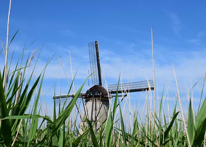 The Dutch Mill