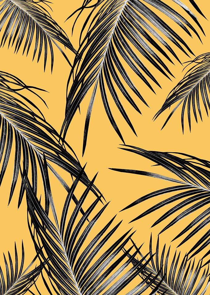 Black Palm Leaves Dream 6