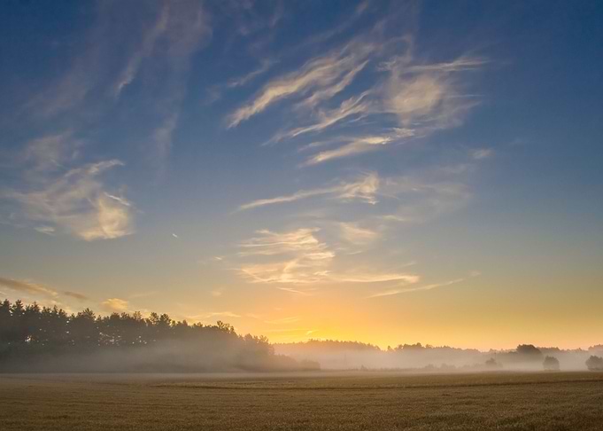 Field Hill Sunlight Meadow