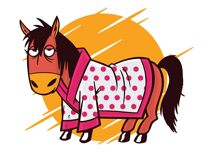Funny horse robe