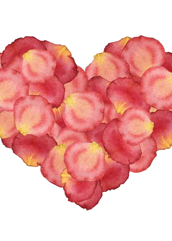 Pink Petal Heart