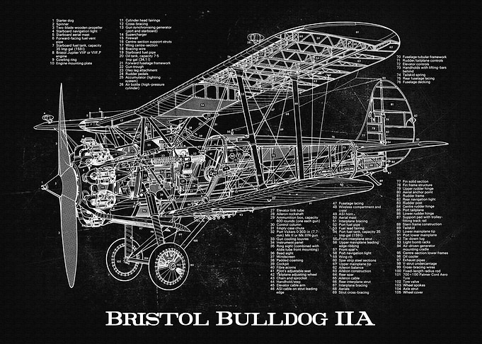 Bristol Bulldog IIA