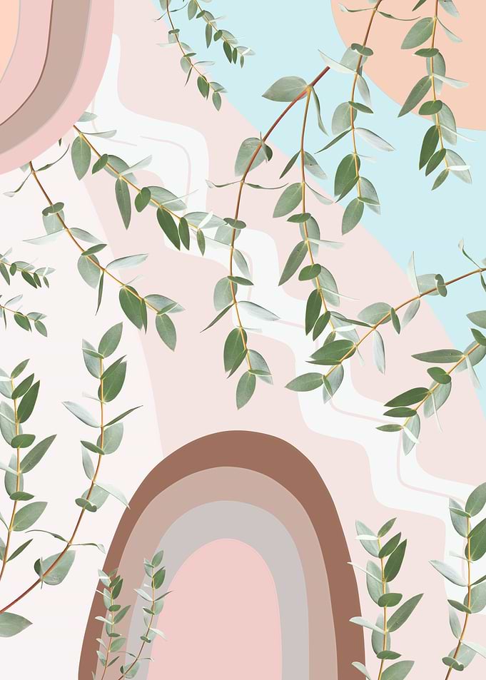 Eucalyptus Rainbow Dream 1