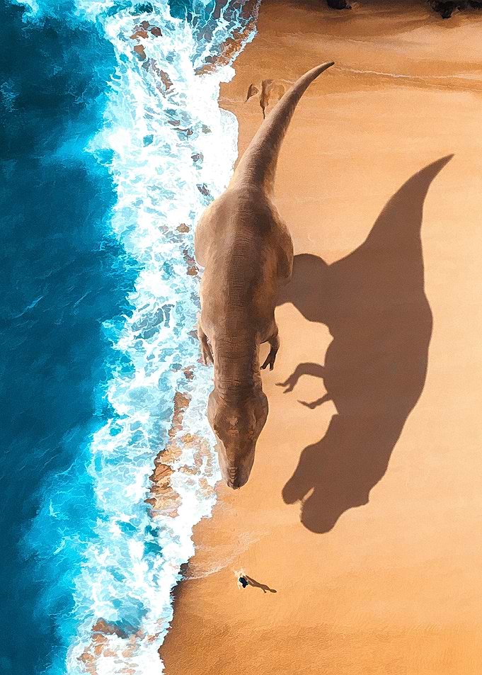 Beach Hunt