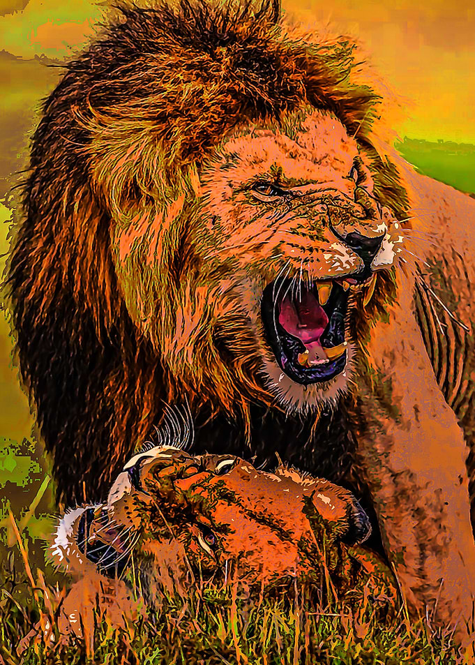 Animal 74