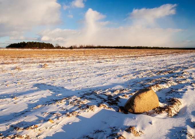 Snow Sun Winter Field Suns