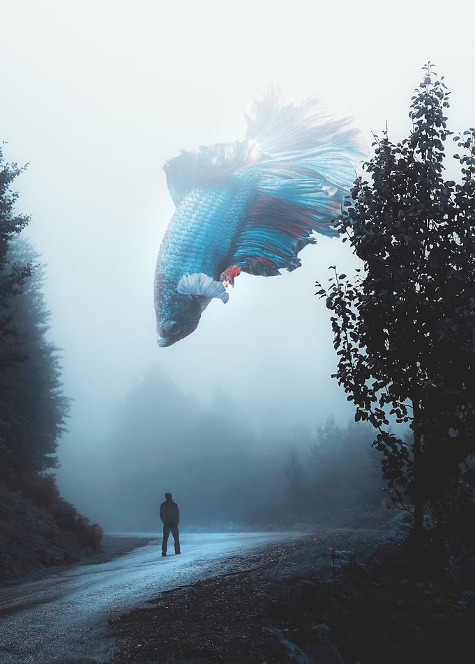 Lost in the Mist