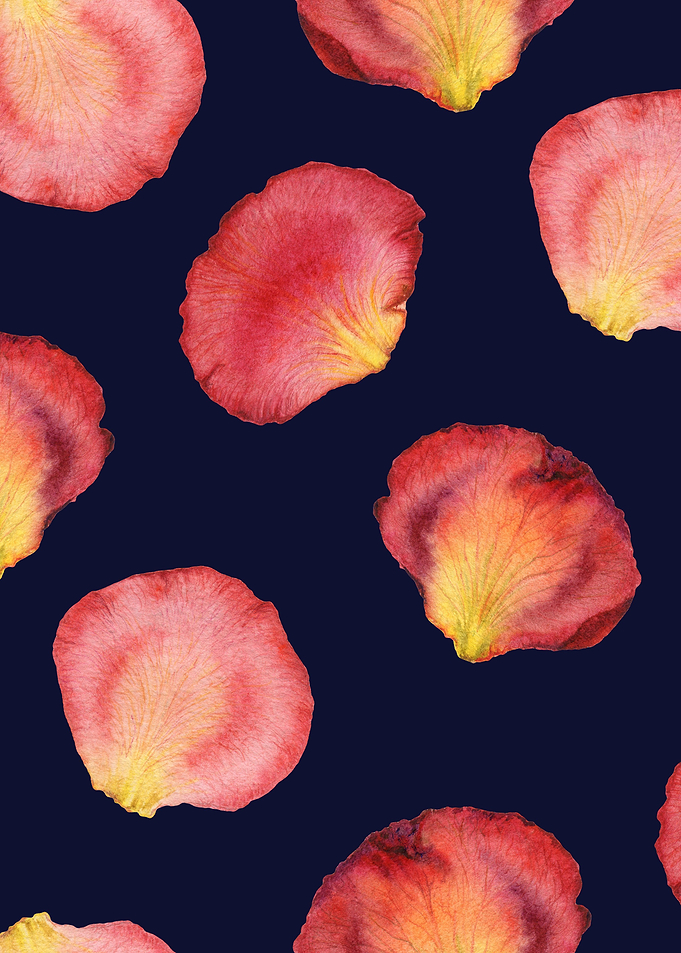 RosePetal Pattern Black 05