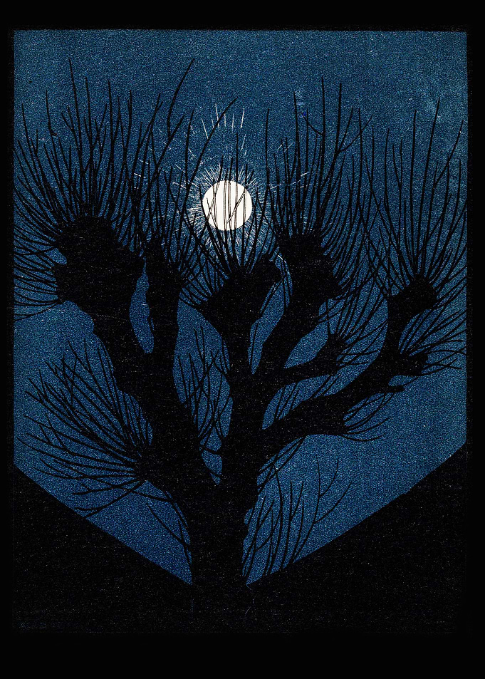 Moon Light