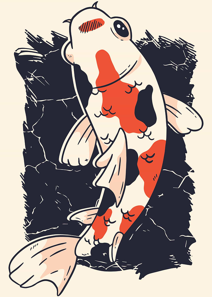 Koi Fish
