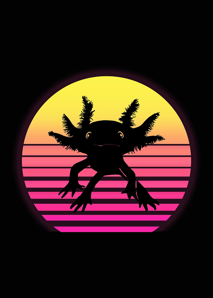 Funny Axolotl Gift
