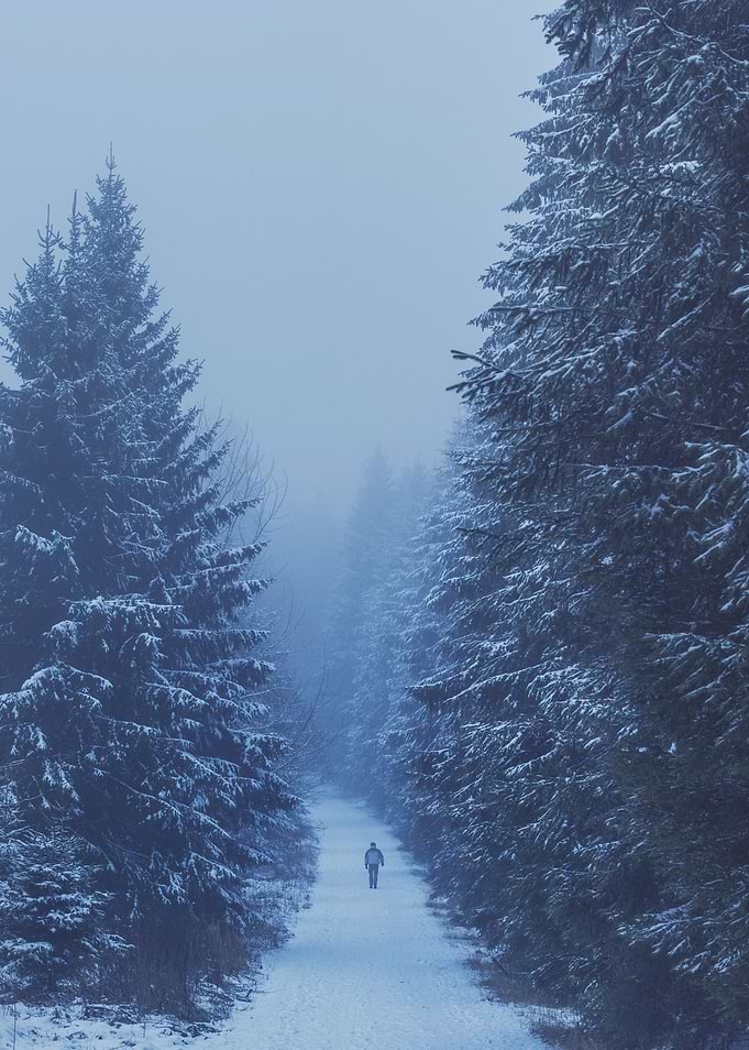 Lonely Road