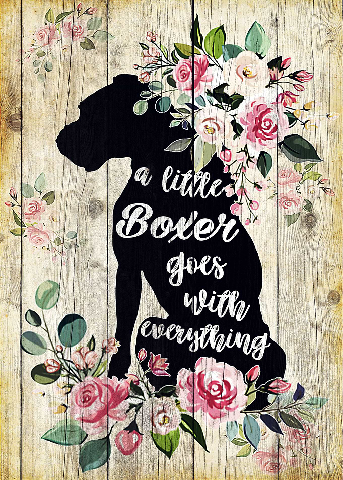 Boxer