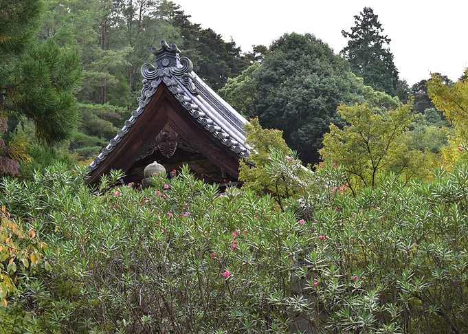 Stone Torii
