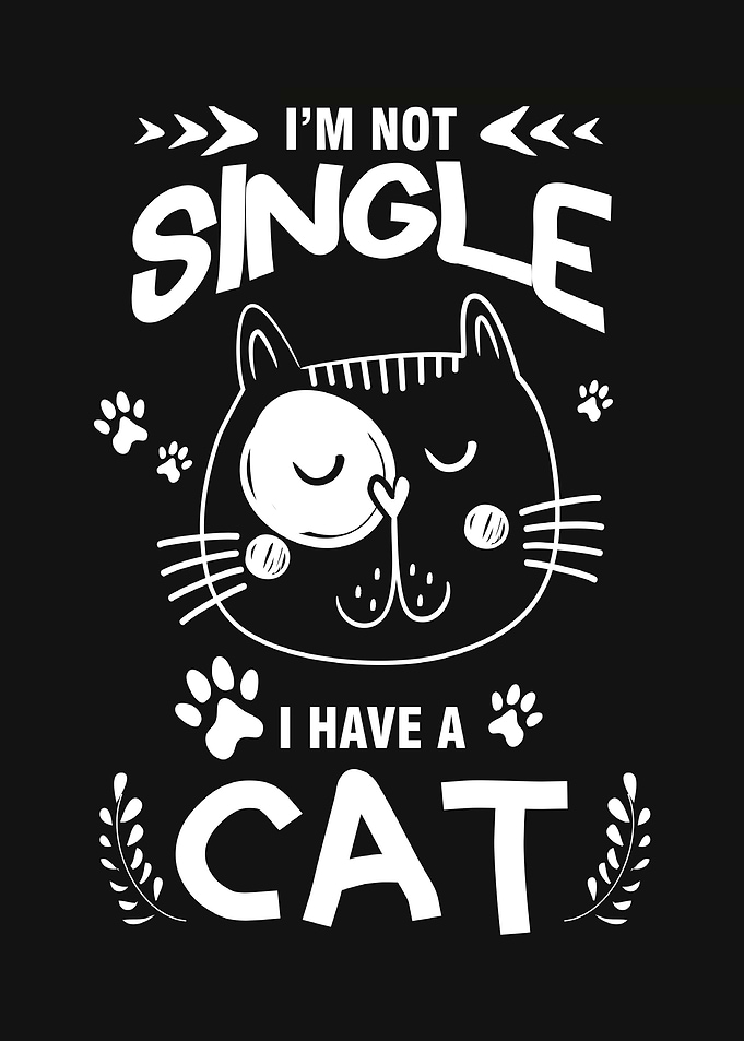 I have a Cat