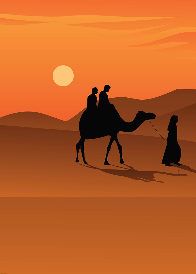 people riding camel