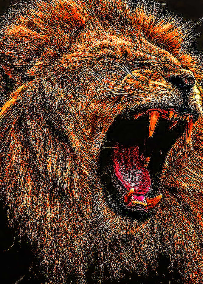 Animal 77
