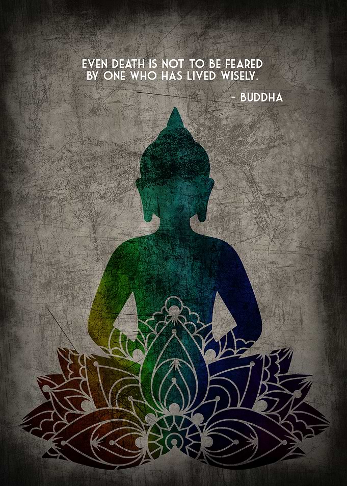 BUDDHA LIVE WISELY