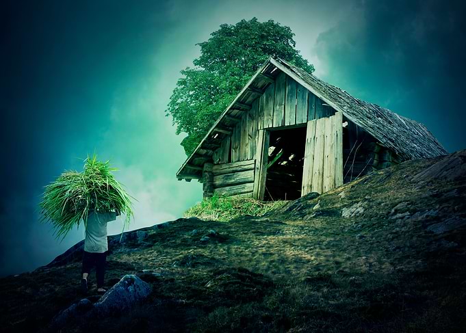 New Fantasy Home