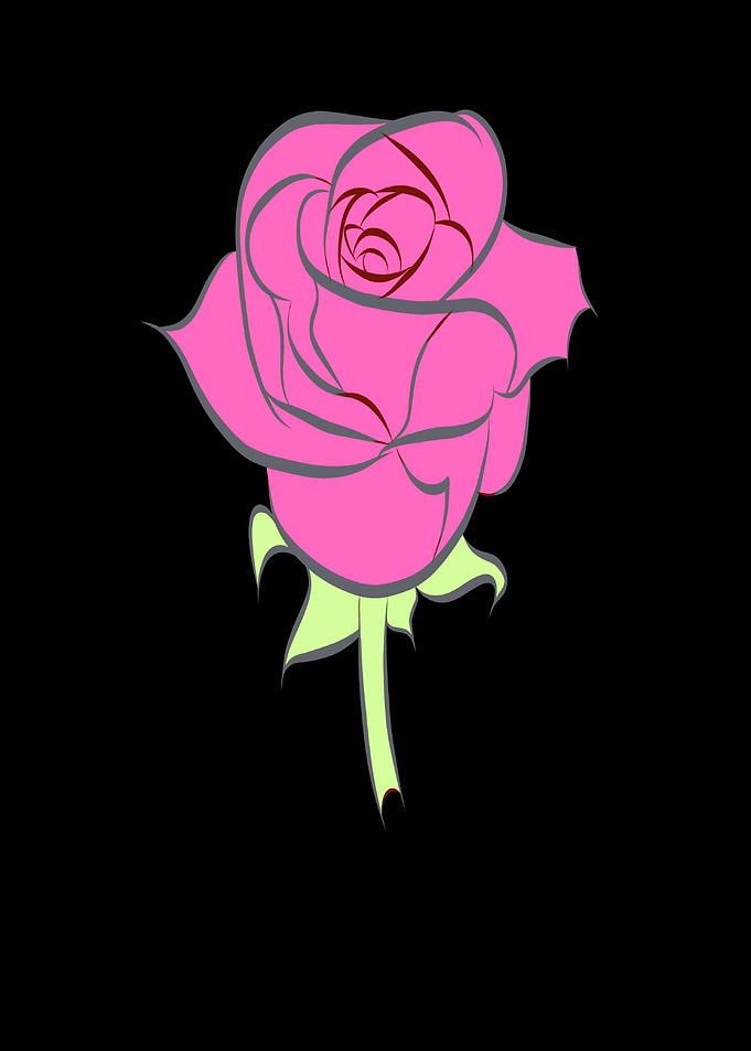 Beautiful rose as a