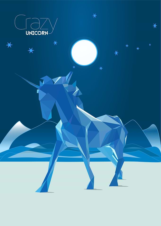 Crazy Unicorn