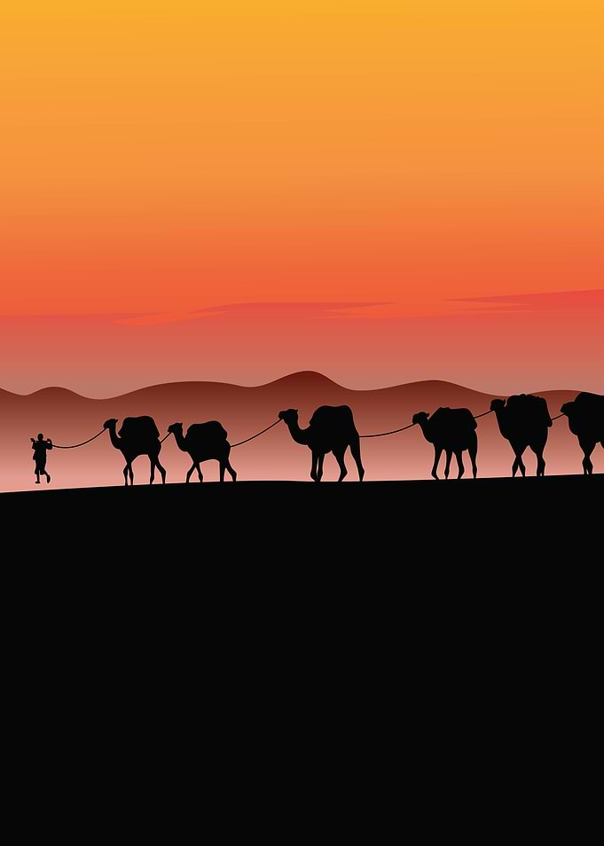 black silhouette camel