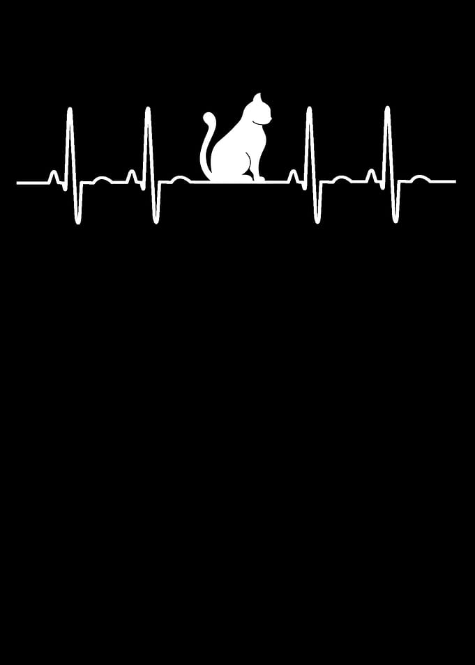 Cat Heartbeat