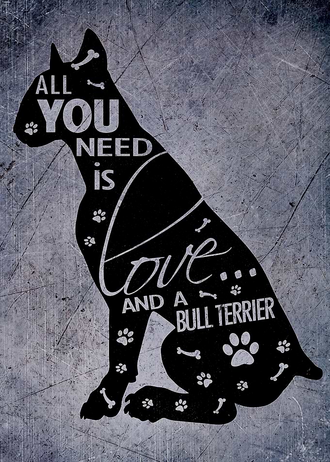Bull Terrier